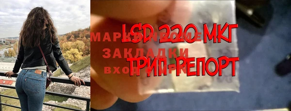 индика Пролетарск
