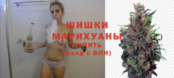 индика Пролетарск
