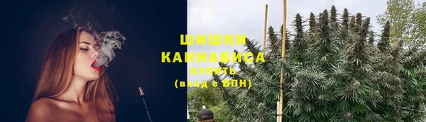 индика Пролетарск