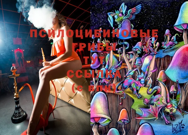 индика Пролетарск