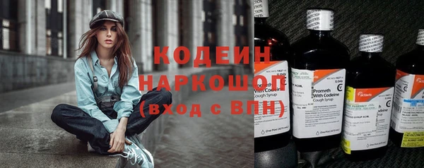 индика Пролетарск