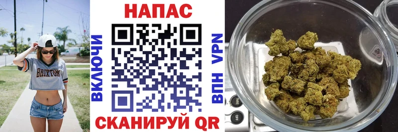 Шишки марихуана планчик  купить закладку  Суоярви 